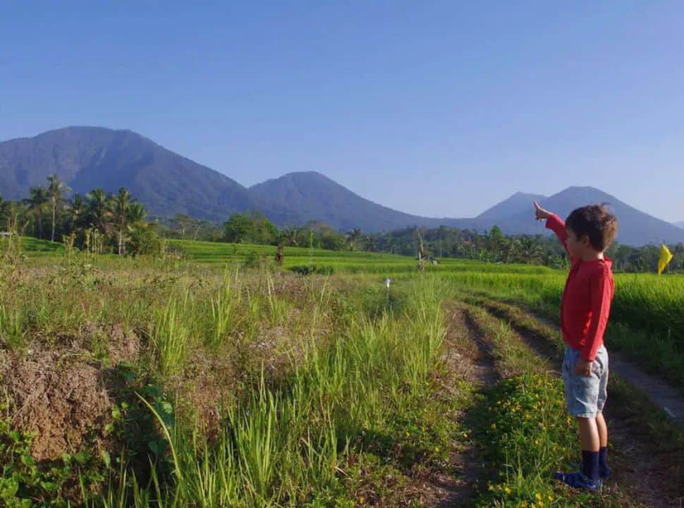 boy standing on a trail in the rice fields and pointing towards mount Batukaru Bali