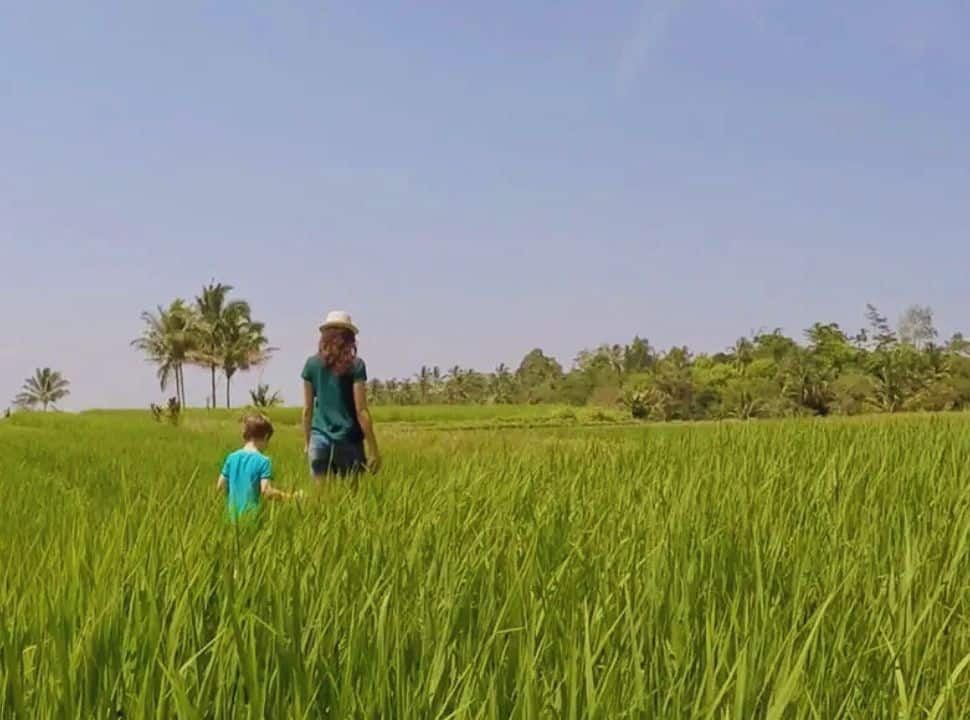 mother and son walking through the tall rice plants in the fields of Tabanan in Bali