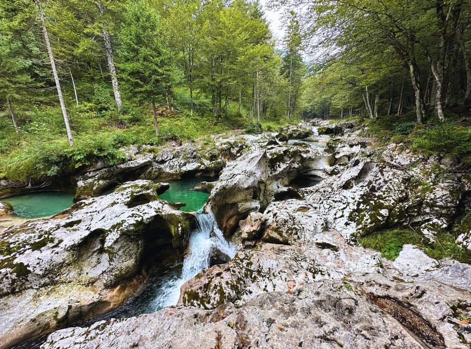 rock formation in a river valley where clear water runs between the cracks and pools of the rock in a forest setting at Mostnica Gorge near Bohinj Lake Slovenia
