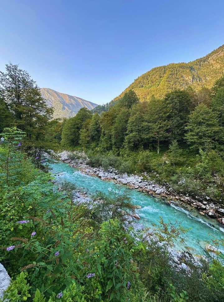 view of a crystal clear emerald blue water running between the mountain valley at sunset in Soca Valley Slovenia