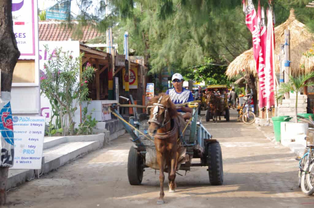 horse pulling a cart along a small tourist street with shops and restaurants on Gili Trawangan Lombok