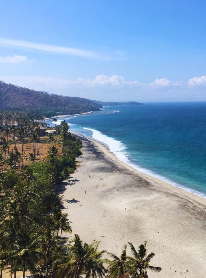 view of a white sanded deserted beach with palm trees and ocean blue water east of Lombok island