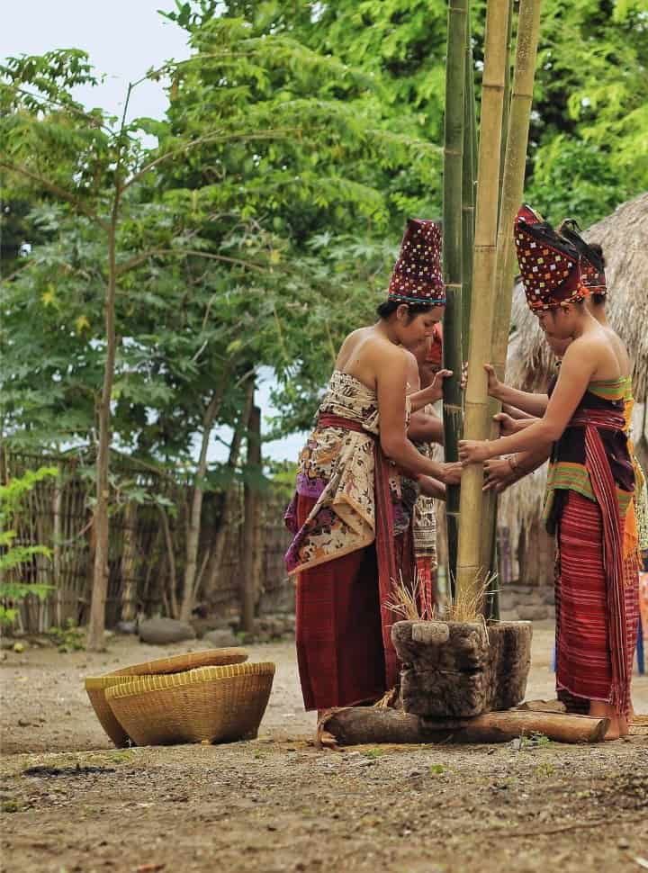 four local women from Lombok pounding rice or grain together with large bamboo poles, women are wearing colorful traditional clothing 