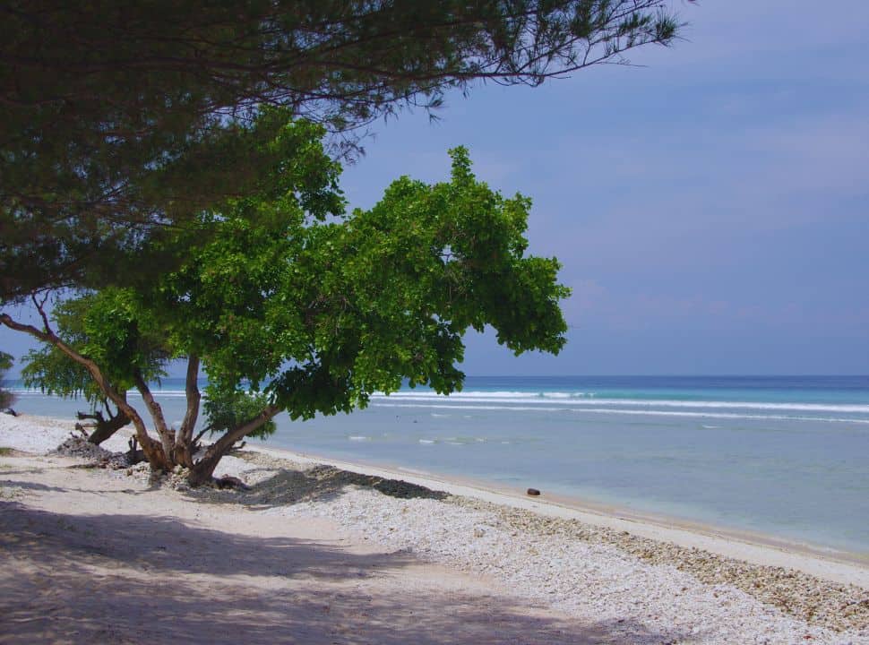 deserted white beach with trees that offer shade at Gili Trawangen Lombok