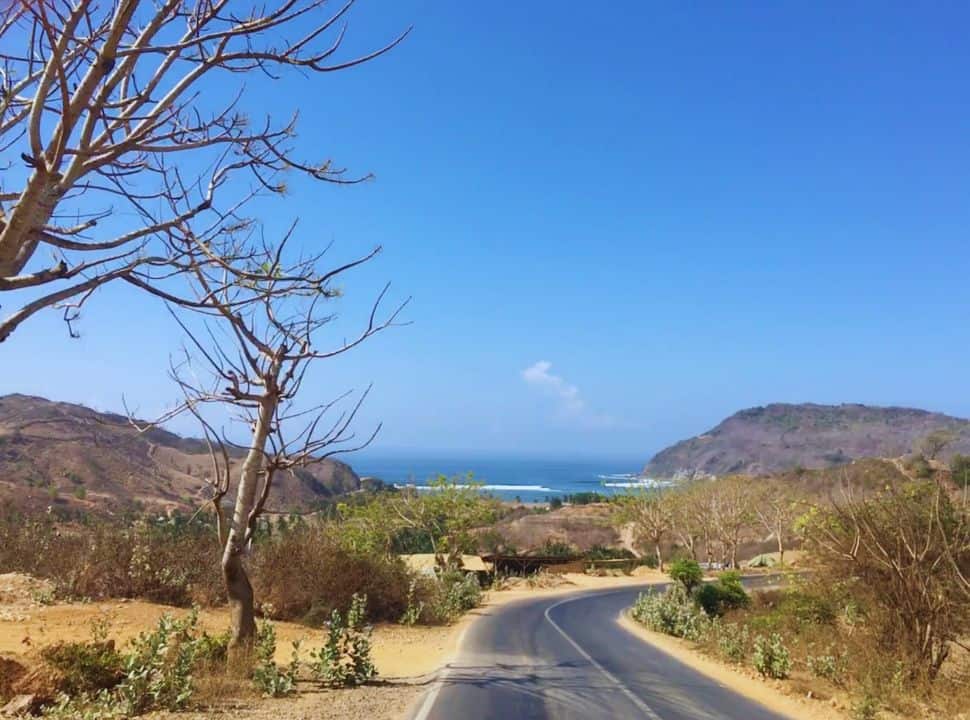 main road set between a dry landscape of shrubs and trees with in the distance view of the blue ocean in South Lombok