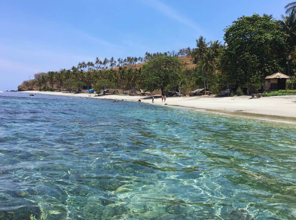 picture taken from the crystal clear water of a white sanded beach with trees and palm trees north west of Lombok