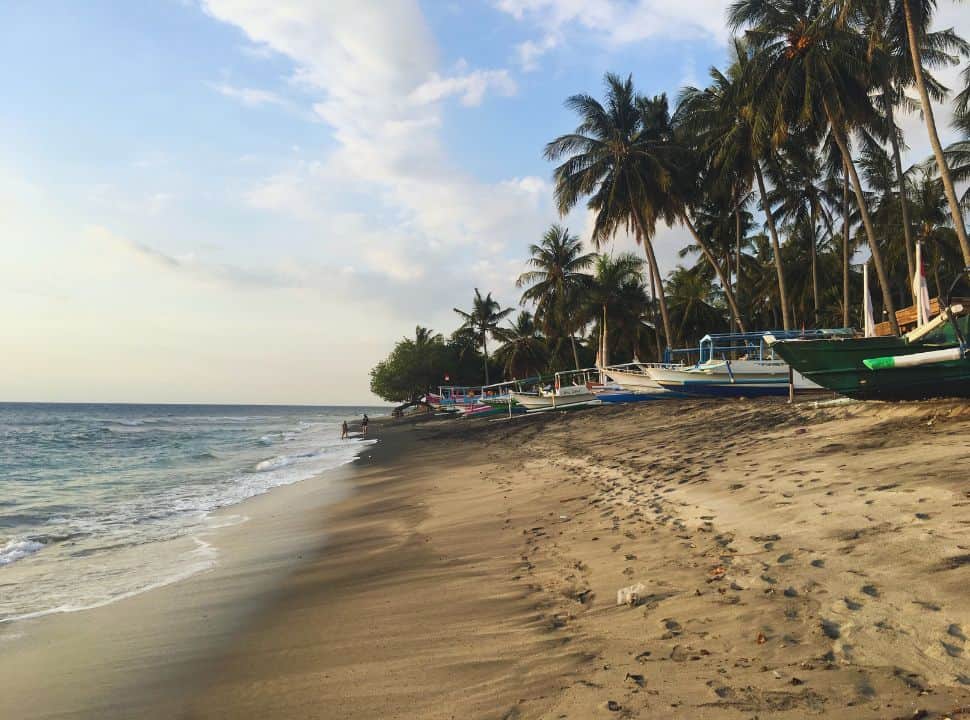 dark sanded beach with boats lines up nearby the shore, plam trees dominate the beach at Senggigi Lombok