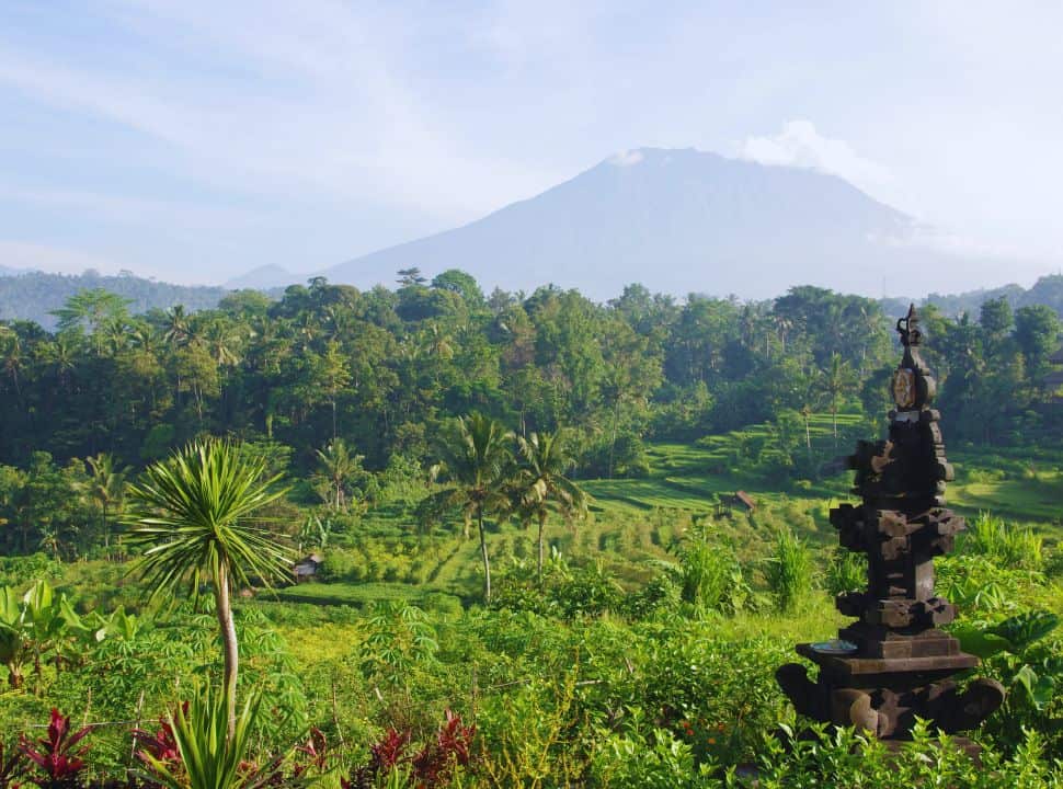 view of a valley with rice fields, a Balinese shrine and a row of trees with the volcano Agung towering over the horizon in Sidemen Bali