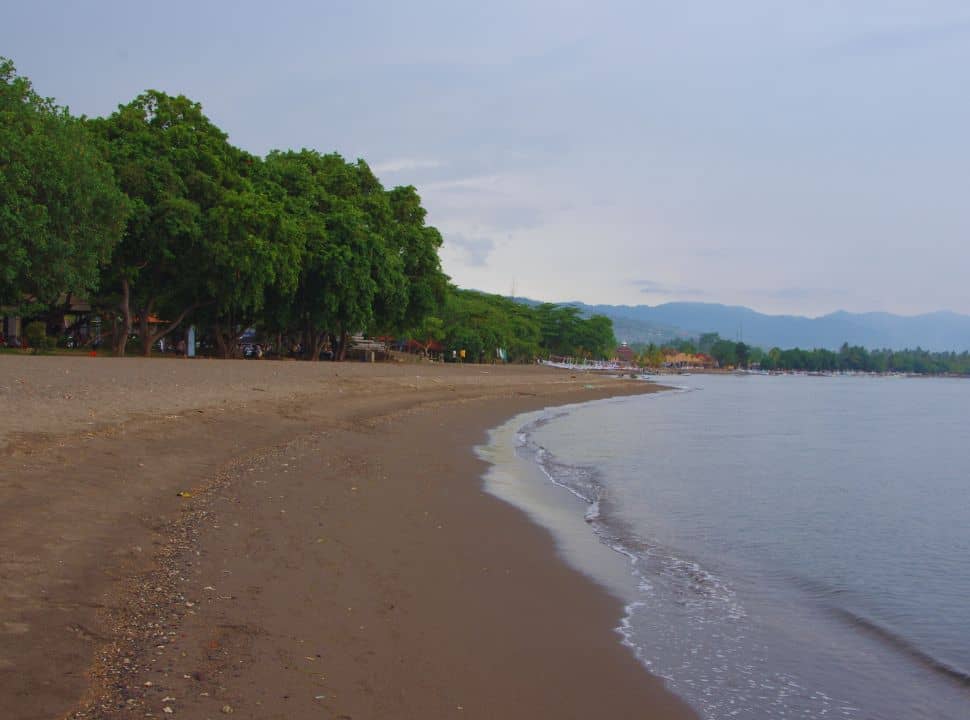 black sanded beach with a row of trees, calm empty ocean in North Bali