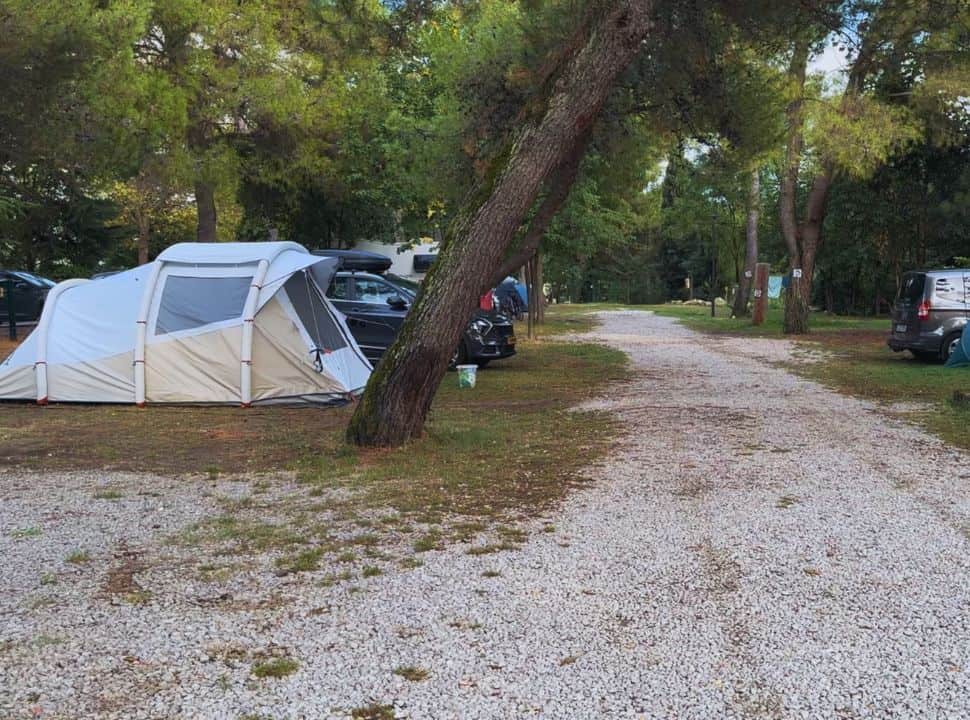 camp grounds with tents and cars located under tall green trees at the coast of Slovenia