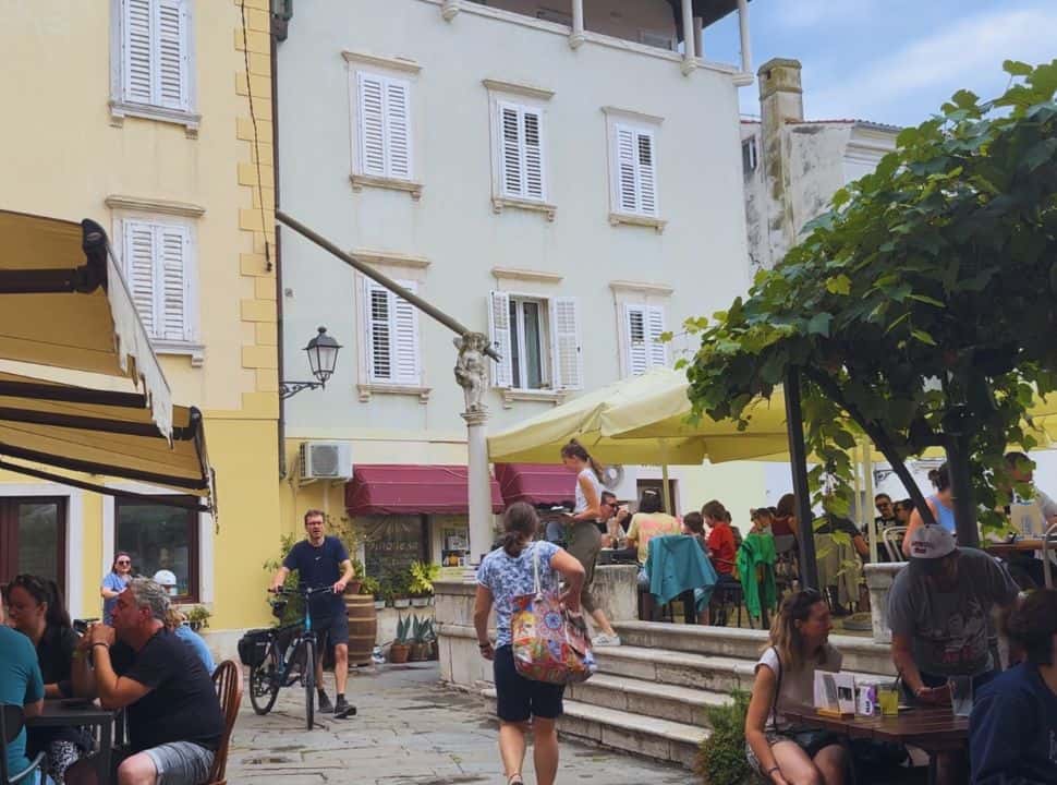people having outdoor lunch on a terrace with small trees, surrounded by tall colorful buildings in Piran