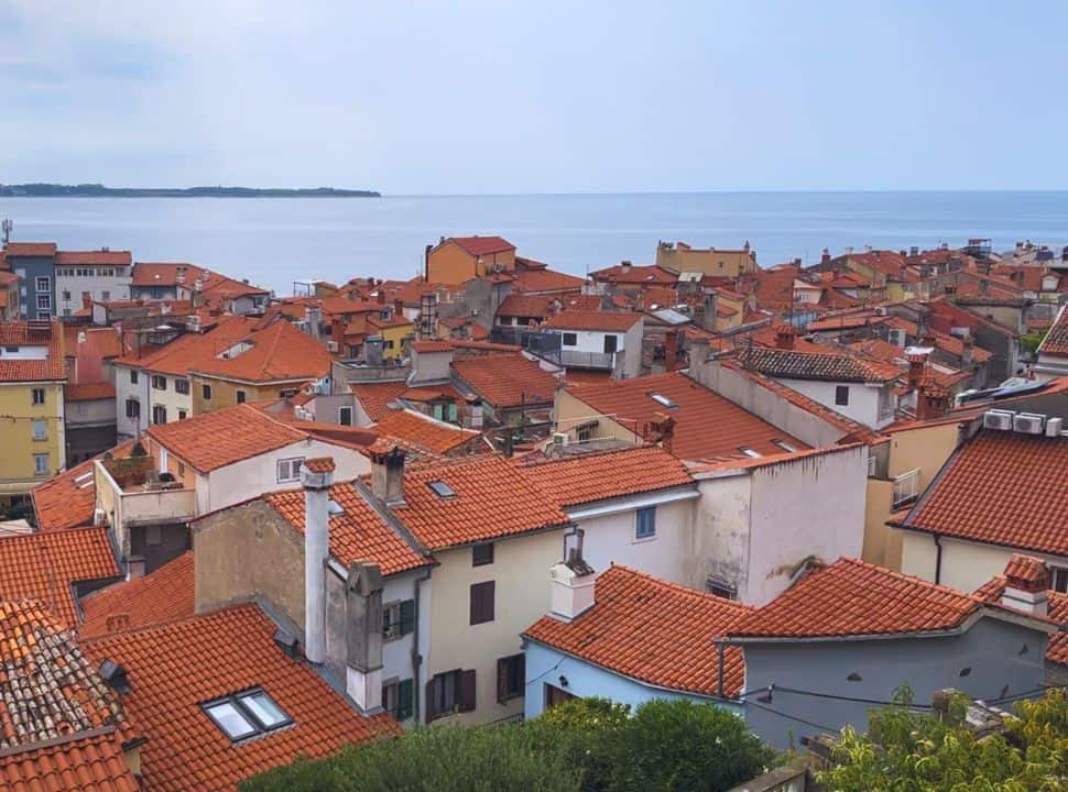 view of the many houses built close together in Piran Slovenia with in the back the Adriatic ocean