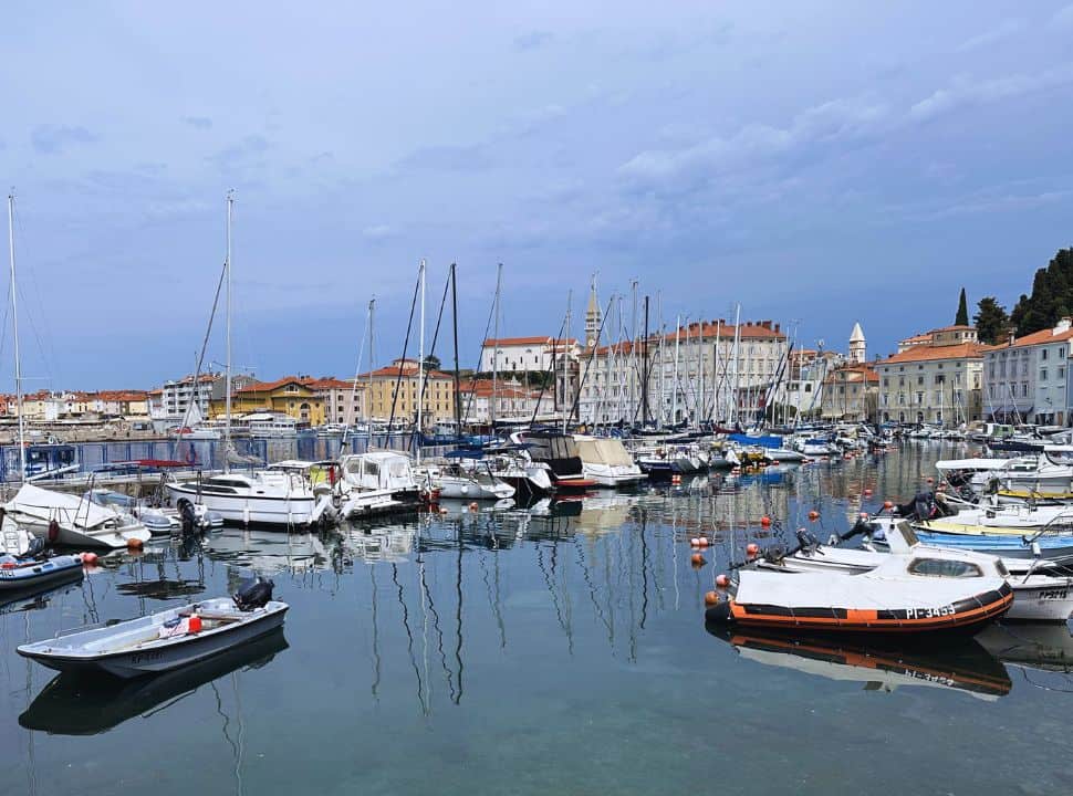 view of Piran town with its harbor where many little boats are docked